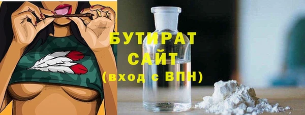 стаф Алексин
