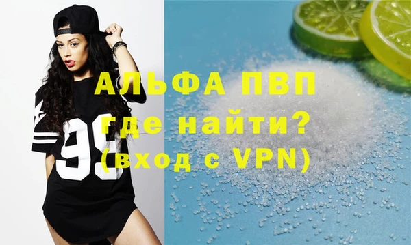 стаф Алексин