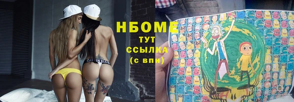 шишки Алзамай