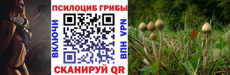 цены   Брюховецкая  Галлюциногенные грибы мицелий 